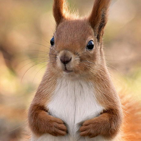 Настя Терехова