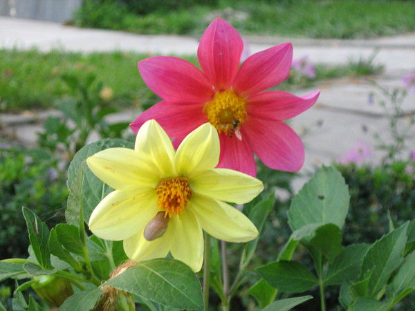 Анастасия Васюкова