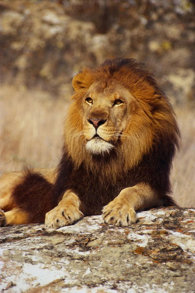 Жомарт Калымбетов