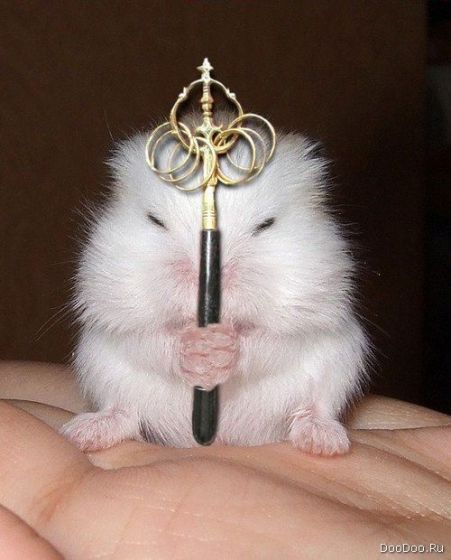 Сергей Камшилин