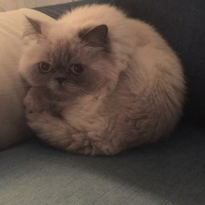 Евгений Зорин