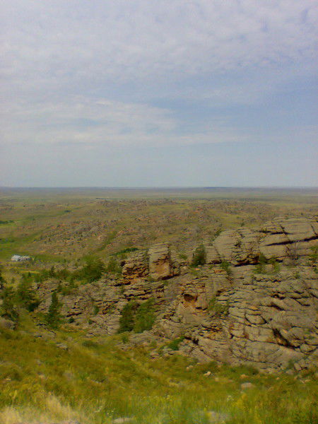 Светлана Душина