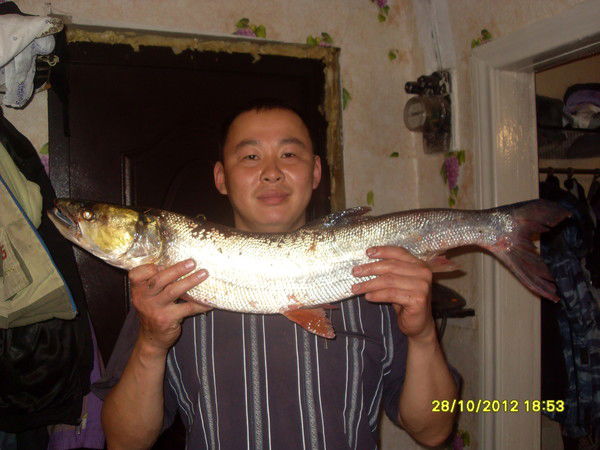 Владимир Бельды