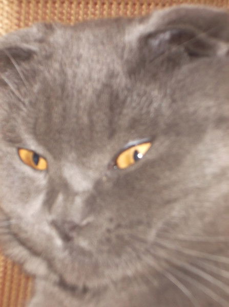 Ольга Пискун