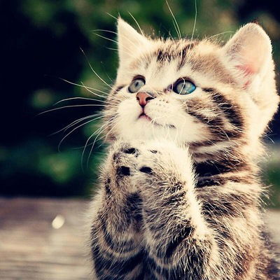 Маша Иванова