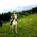 Дары Алтая
