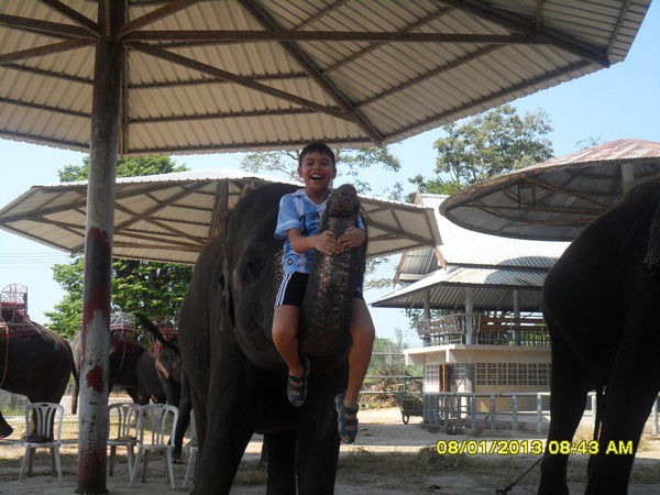 Алан Польский