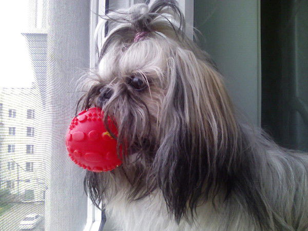 Галина Антипина