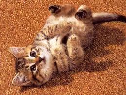 Шугыла Ережепова