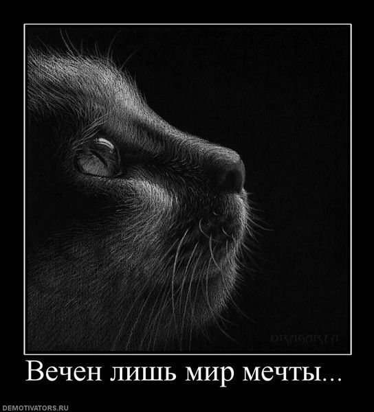 Евгений Вагин