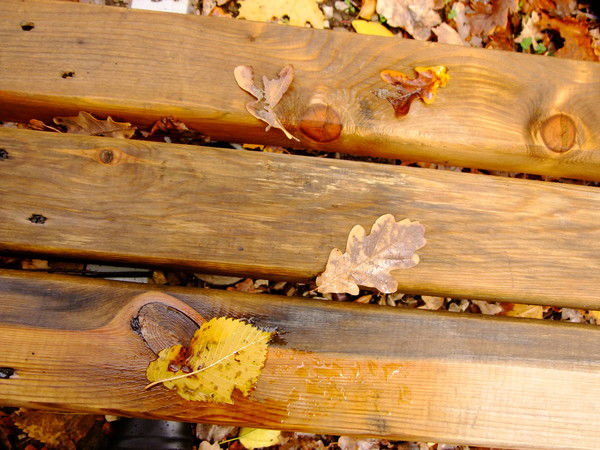 Сергей Корсак