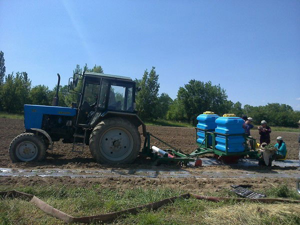 Бакыт Айтбаева