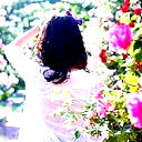 Seline