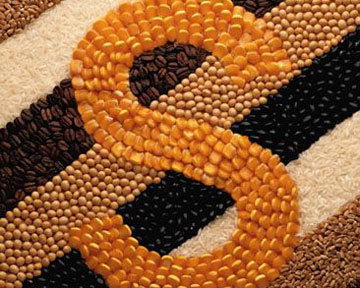 Бухгалтерия Астык Коймалары