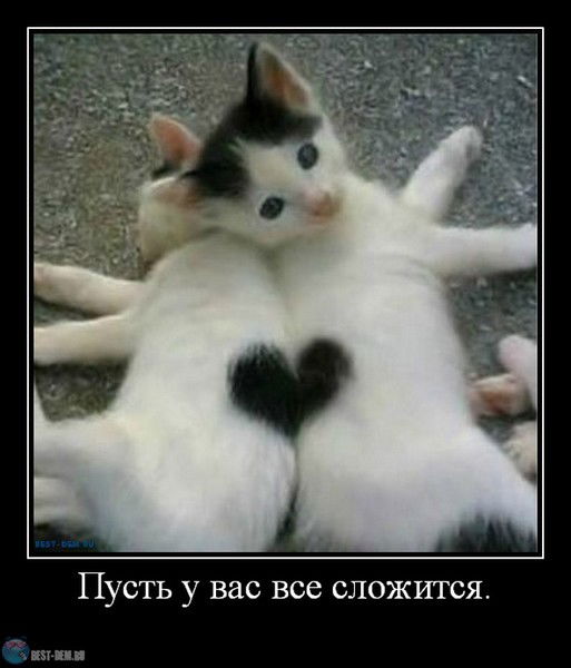 Асель Тюлюбаева