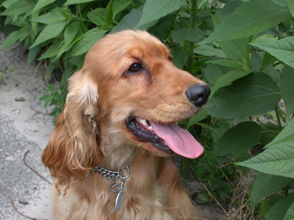 Оксана Прозван