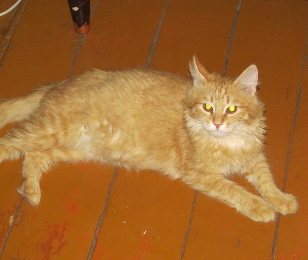 Александр Семенистов