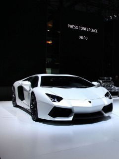 *охраняется* *