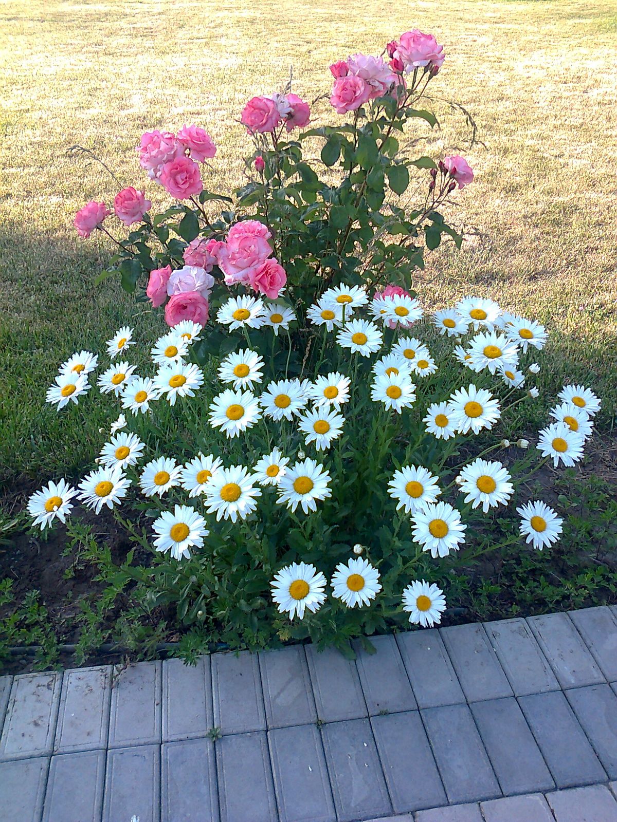 Д. Ахундова