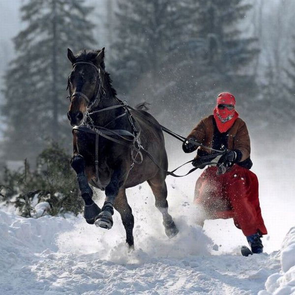 Олег Колесников