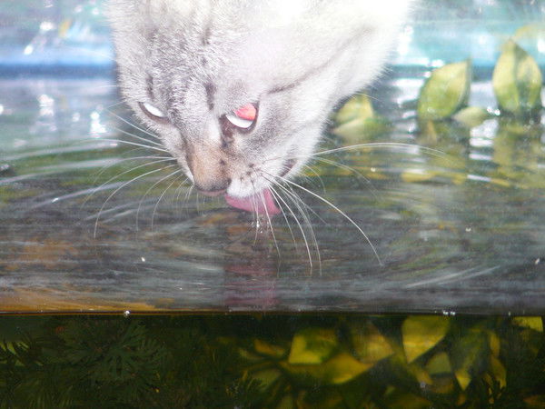 Вячеслав Нырков