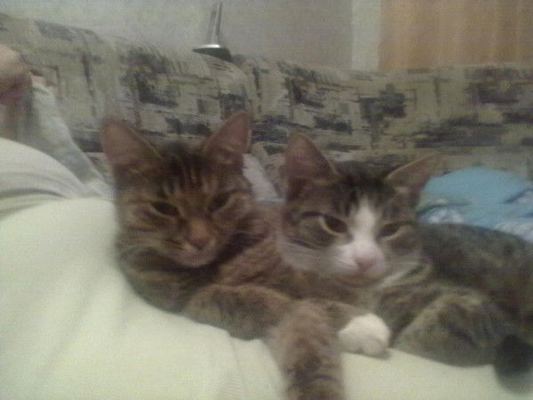 Златка А Воть