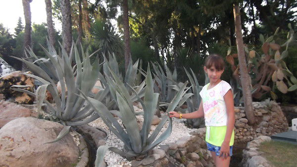 Евгения Новосёлова