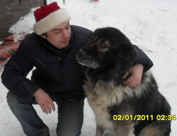 Алексей Челпанников