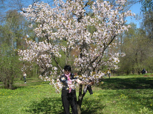 Светлана Леванова