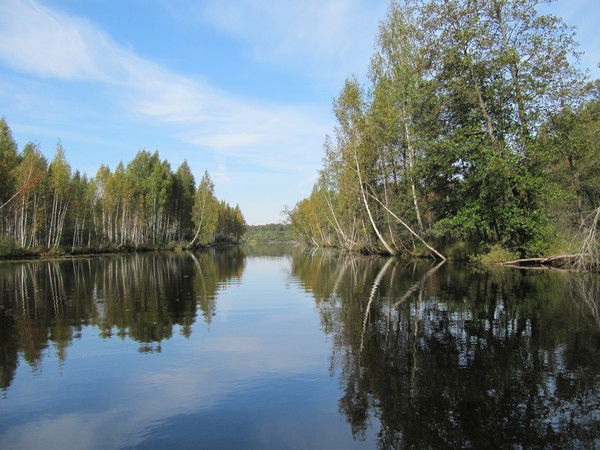 Алена Гришина