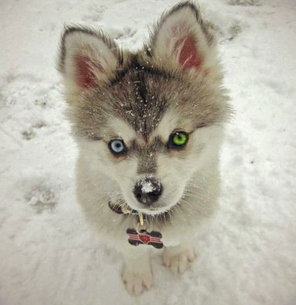 Анжелика Тюкова