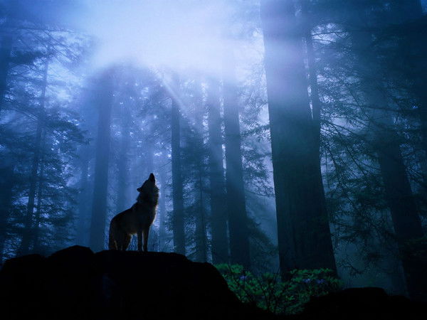 Эльдар Бекболатов