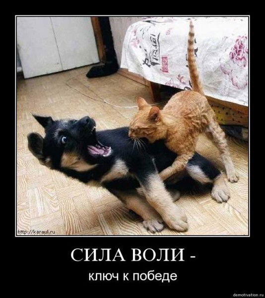 Кайсар Куандыков