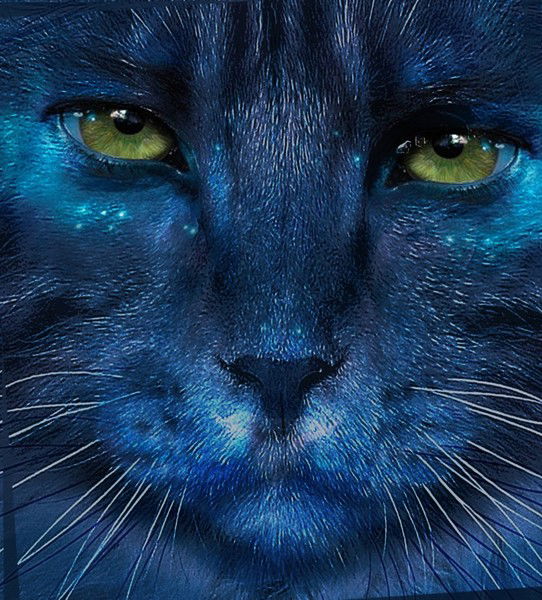 Дмитрий Дмитриевич