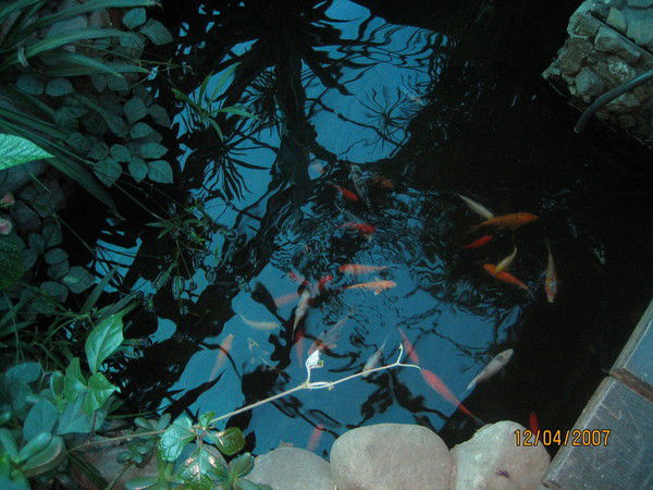 Татьяна Алексеенко