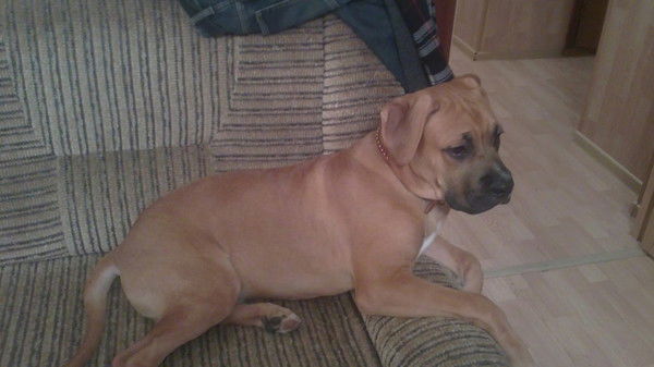 Юлия Шведова