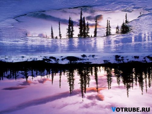 Оля Винникова