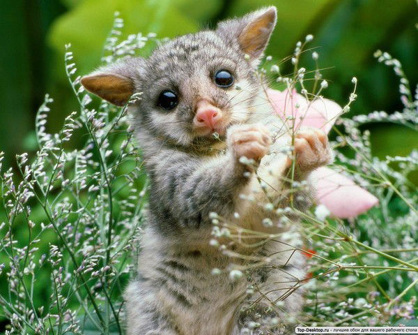 Людмила Андреева