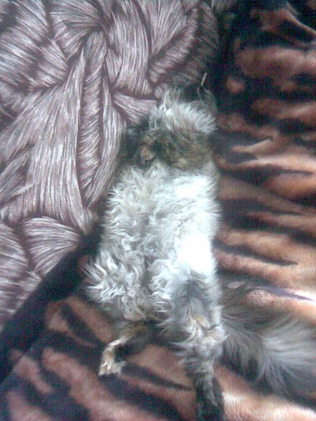 Любовь Мальгинова