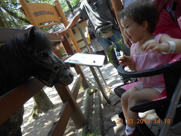 Венера Джусупова