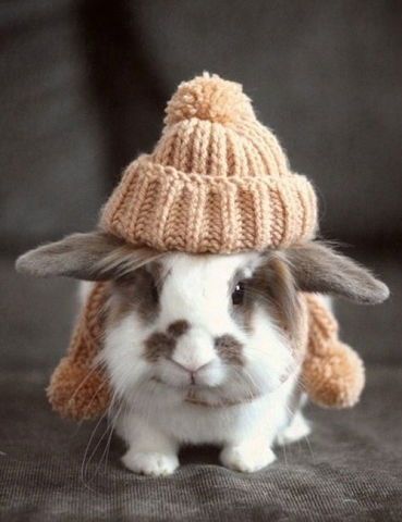 Раиса Иванова