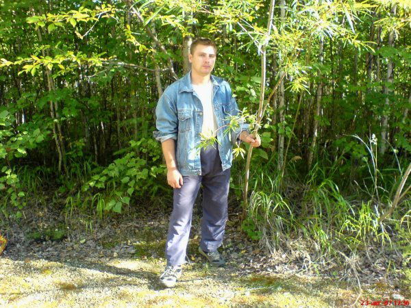 Сергей Волобоев