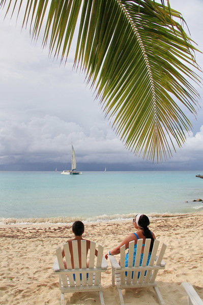 Аленький Цветочек