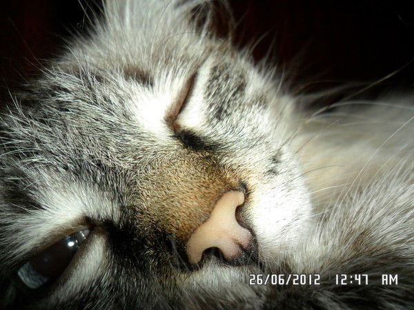 Ольга Дегтярёва