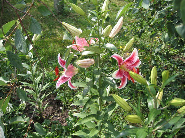 Татьяна Кусакина