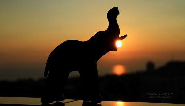 Леся Глазкова