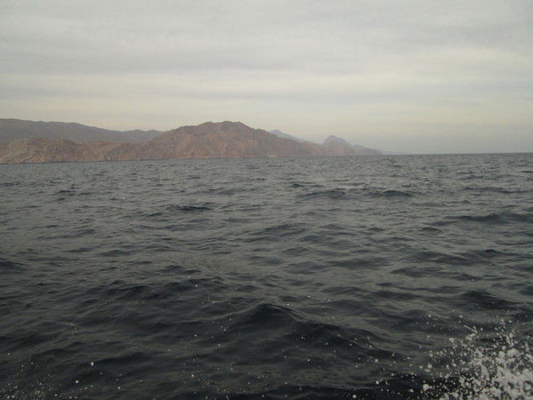 Николай Семёнов