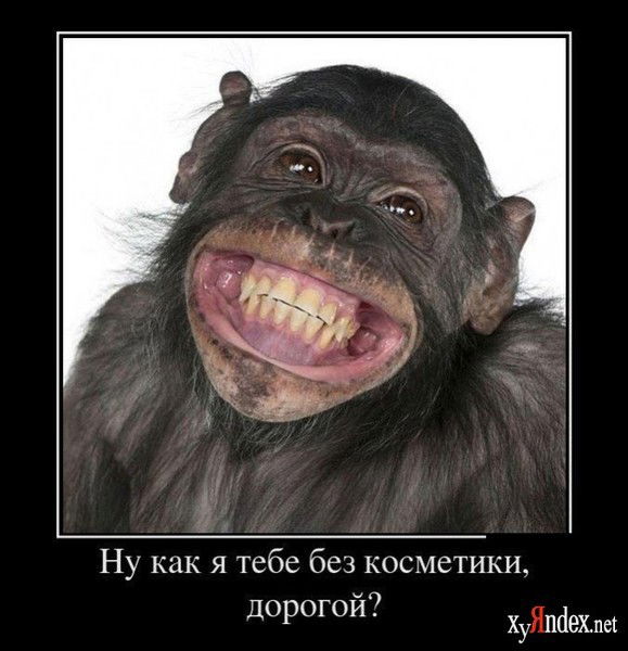 Азиз Султанов