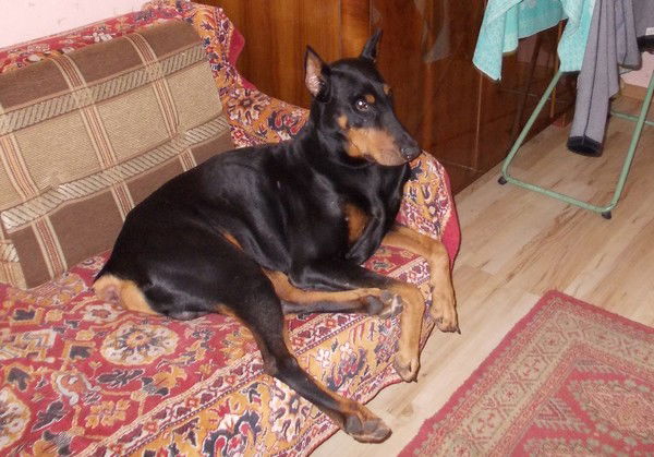 Николай Корзун