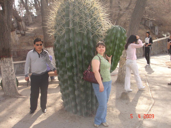 Светлана Отрошенко